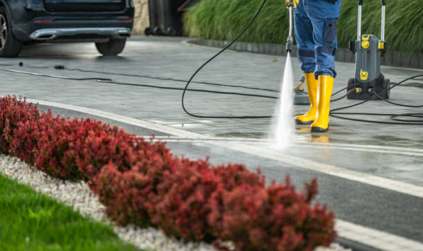 Boat and Dock Cleaning in Green Hill, TN